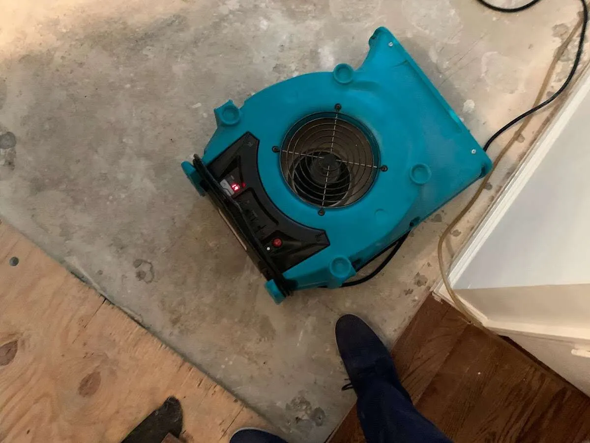 Air mover drying subfloor during Commercial Water Damage Restoration in East Marlborough